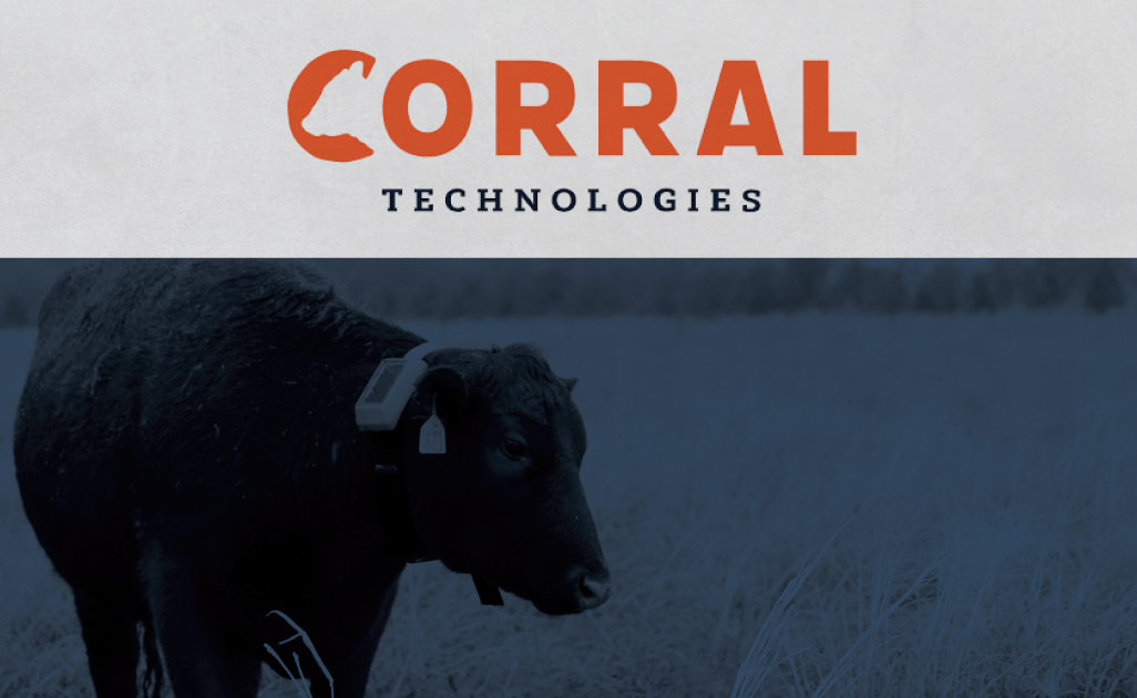 corral-web